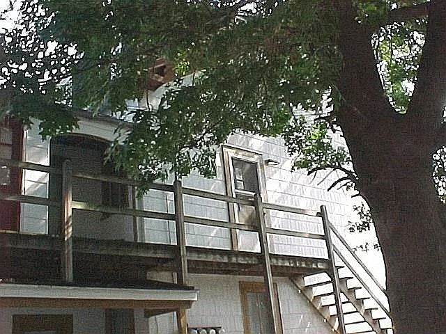144 Coral St APT 3 photo 1