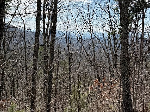 5th image of Panorama Dr