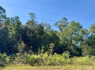 SW Sea Cliff Ave LOT 1, Dunnellon, FL 34431