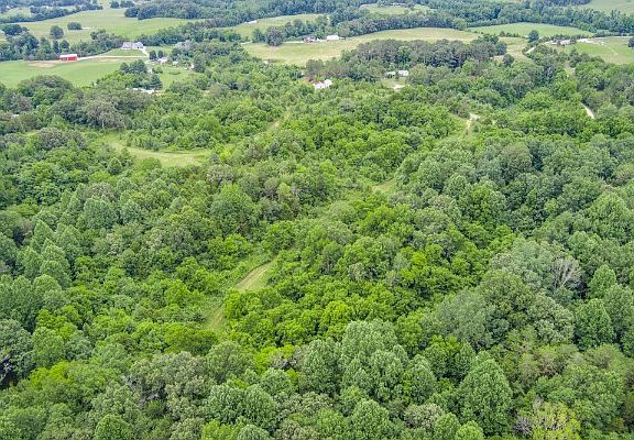5th image of 0 Center Point Acres N Lot 0
