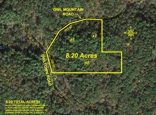 0 Owltown Rd, Ellijay, GA 30536