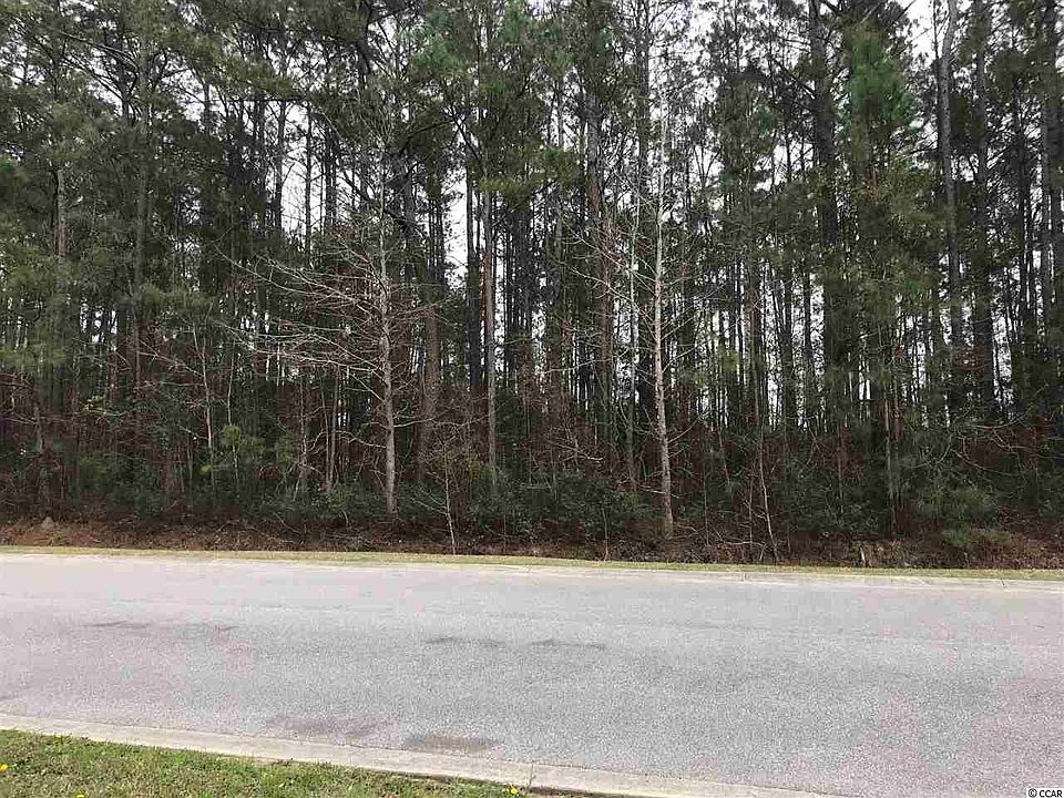 2nd image of  Bear Dance Rd.