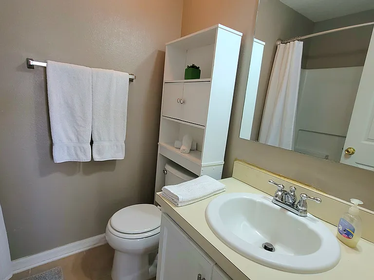 4408 Tuscan Loon Dr — Photo 22