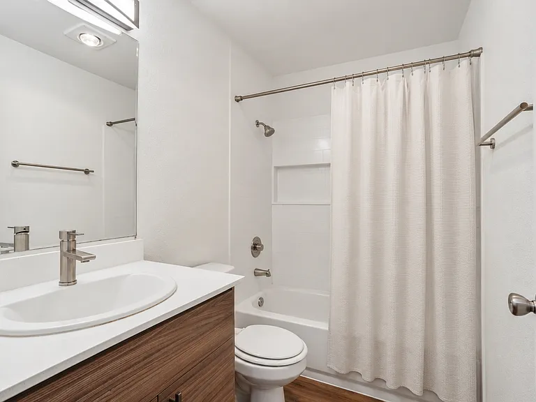 Canopy Apartments — Photo 4