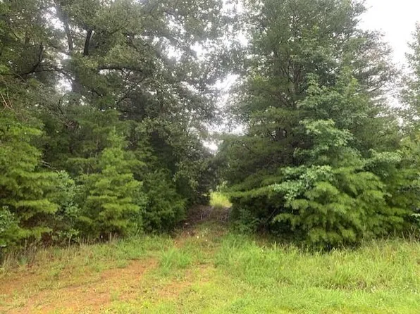 Calhamby Rd, Saint Charles, KY 42456