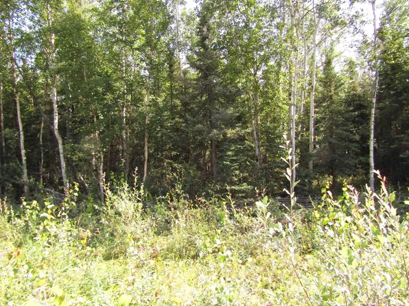 L4 Old Harbor Rd, Delta Junction, AK 99737