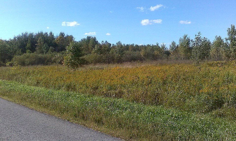2nd image of 0 Cushman Rd