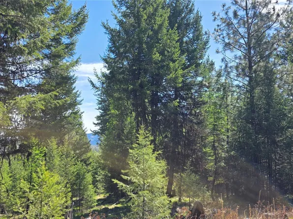 111 TBD Wannamaker rd, Oroville, WA 98844