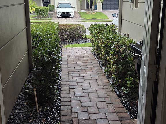 Looking out from the front door