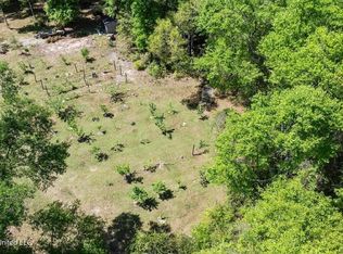 13217 Ware Lake Rd, Vancleave, MS 39565