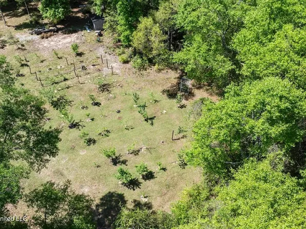 13217 Ware Lake Rd, Vancleave, MS 39565