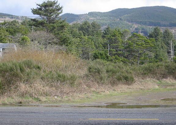 2nd image of 0000 Hwy 101 & #N