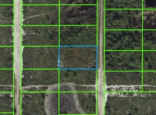 1338 S Witcher Rd, Avon Park, FL 33825