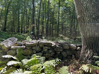 0 Nichewaug Rd, Petersham, MA, 01366