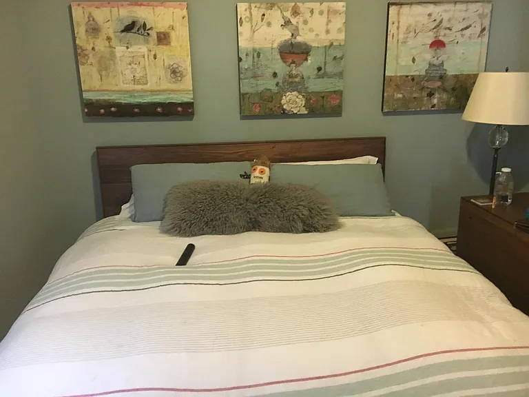Master bedroom, fits a king size bed and full set of drawers