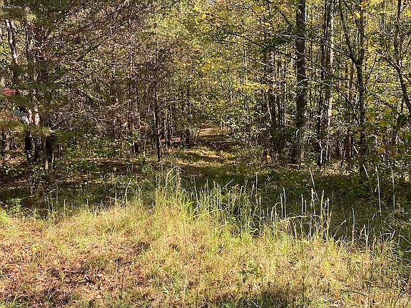 5th image of 410 Crow Rd