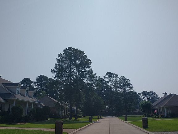 4th image of 361 Sadie Douglas Ln