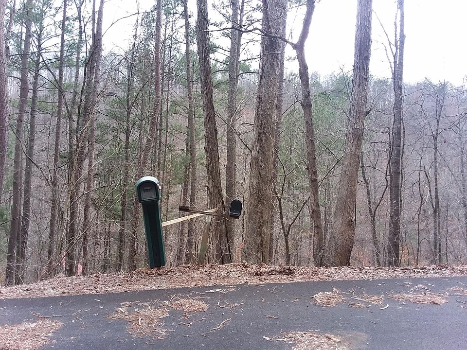 2nd image of Straight Branch Rd