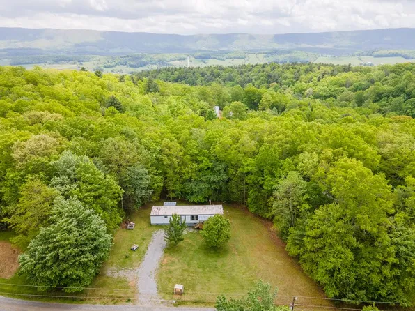 164 N Chinquapin Ln, Bland, VA 24315