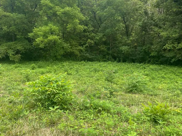 Hinds Creek Rd, Maynardville, TN 37807