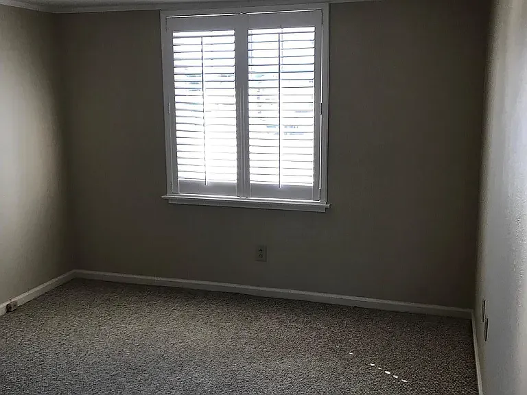 14 Olive Ct — Photo 9