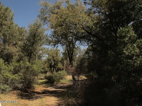 52975 E HARPER    J,D Road #0, Miami, AZ 85539