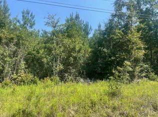 0 Walding Rd, Opp, AL 36467