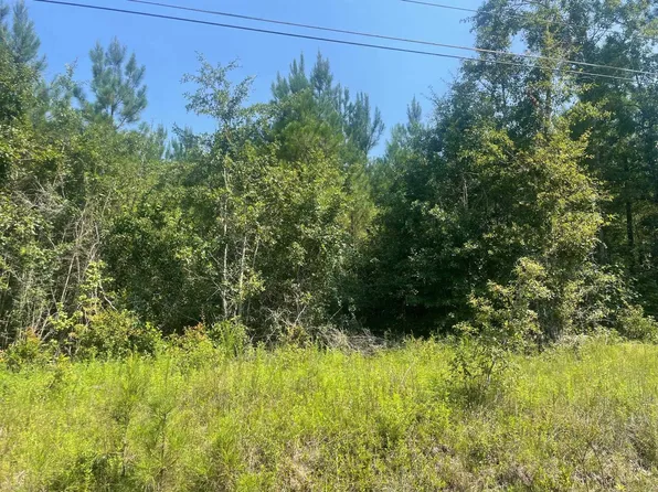 0 Walding Rd, Opp, AL 36467
