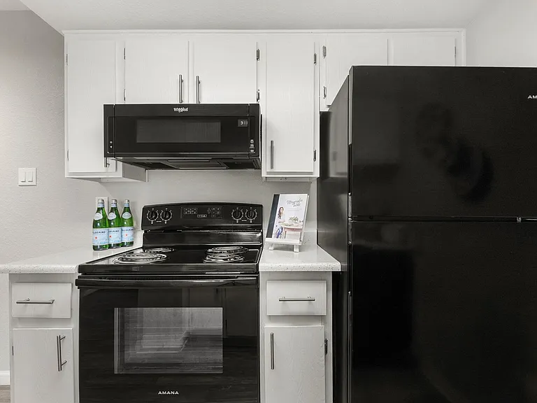 Kitchen Stove and Fridge