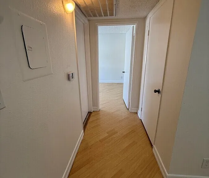 3350 Drew St #303 — Photo 3