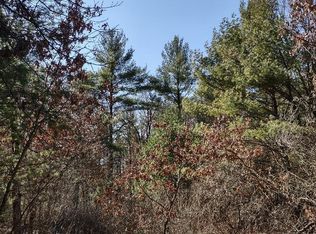 Lots 41 42 43 S Red Pine Trl, Black River Falls, WI 54615