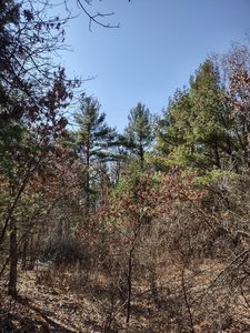 Lots 41 42 43 S Red Pine Trl, Black River Falls, WI, 54615