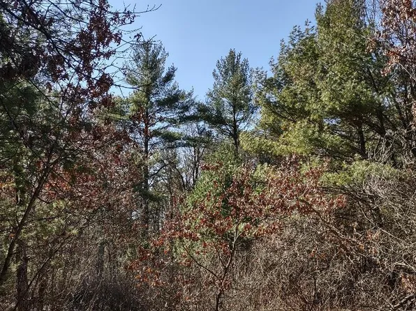 Lots 18 & 19 Whitetail Ct, Black River Falls, WI 54615