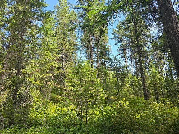 2nd image of 395 Highway