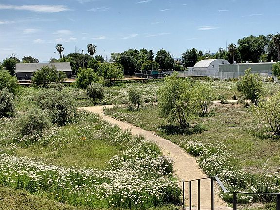 Garden area in front of the house.