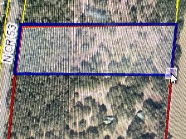 NW Cairo Rd, Mayo, FL 32066