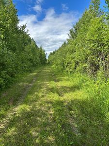 10750 Groningen Rd, Sandstone, MN, 55072