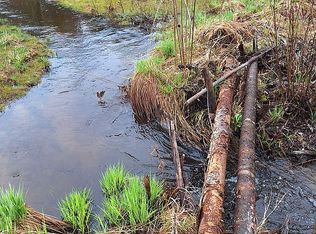 15450 Wildlife Trl, Wolverine, MI 49799