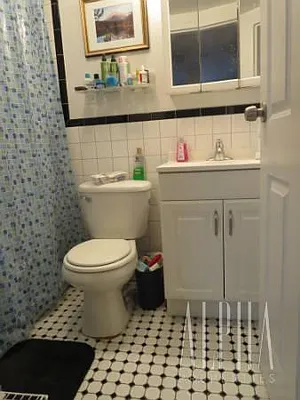 Rented by Alpha Properties NYC I LLC | media 51