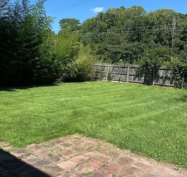 177 Sheppard Dr — Photo 3