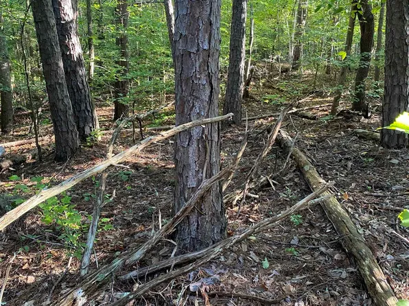 0 Mud Bridge Rd, Buffalo, SC 29321