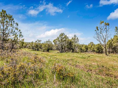 53873 Ie 3/4 Rd, Mesa, CO, 81643