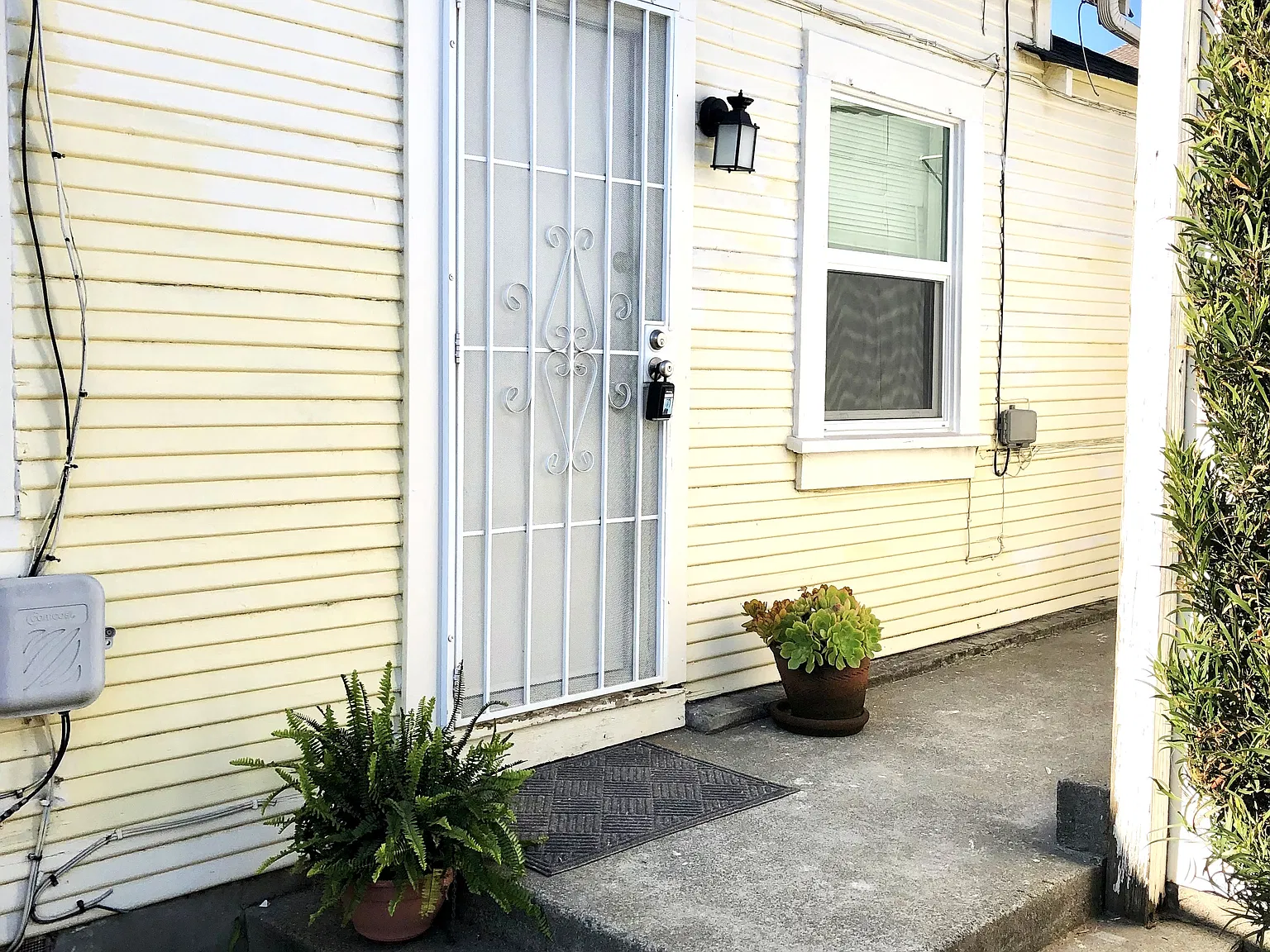 1 bed, 650 sqft, $1,600 — Photo 1