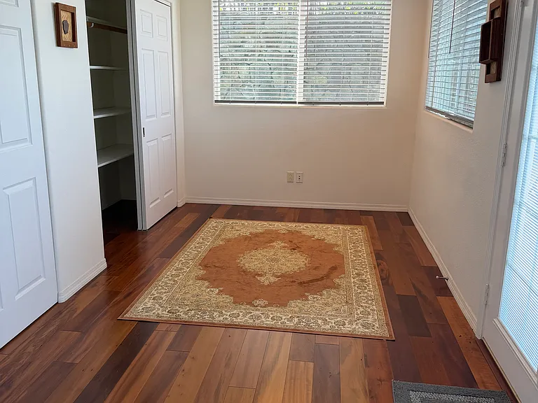 Entry area and closet
