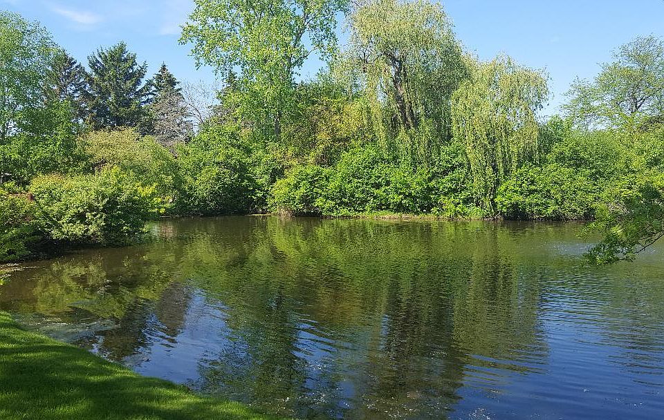 Villas lake