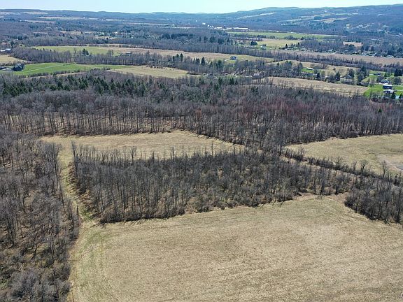 4th image of Chapman Rd
