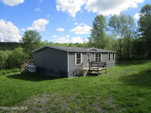 113 Mayfly Lane, Jefferson, NY 12093