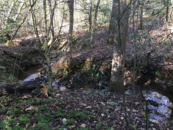 161 Nottleywoods Rd E, Blairsville, GA 30512