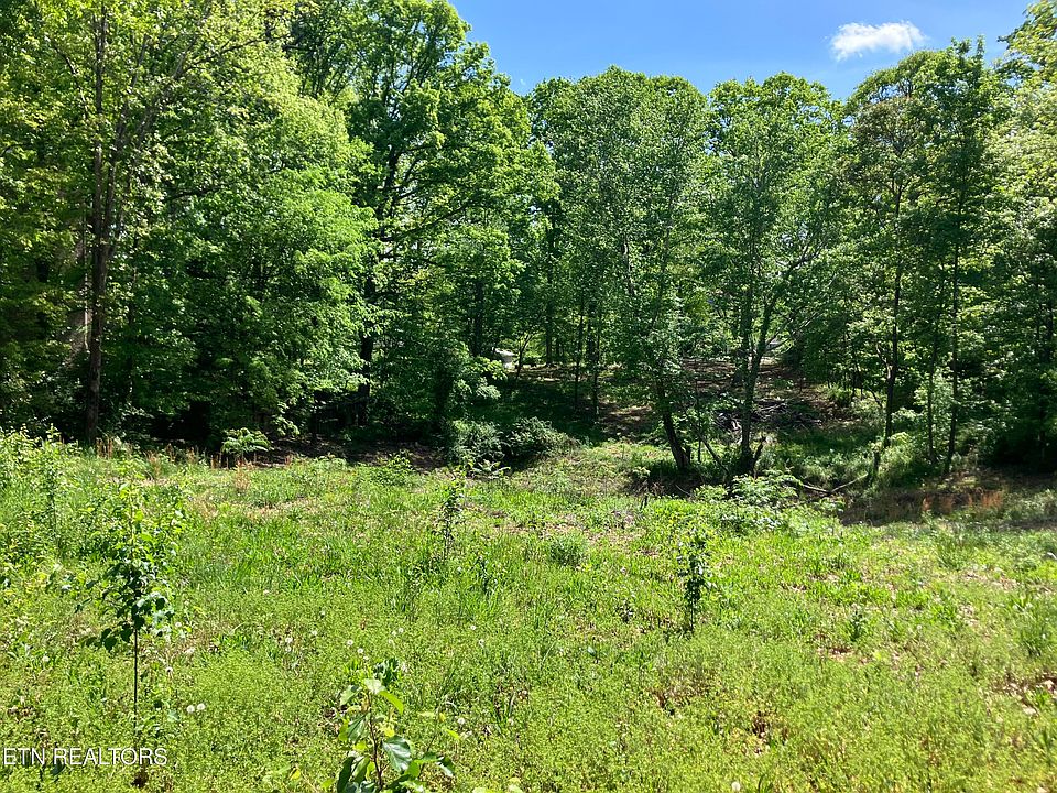 2nd image of 8029 Whitestone Rd