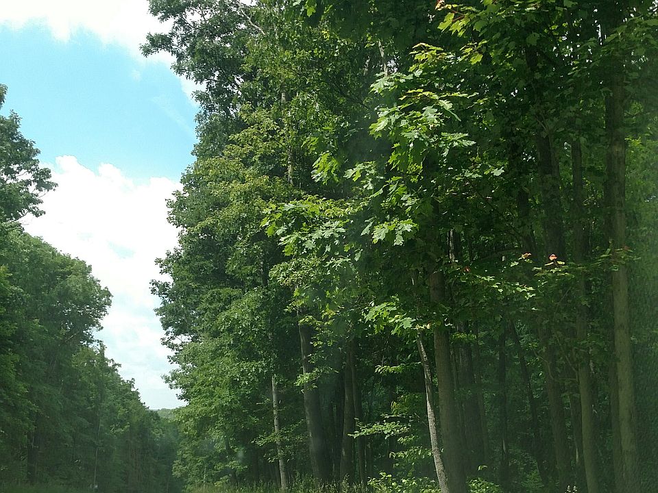2nd image of Chalk Hill-ohiopyle Rd